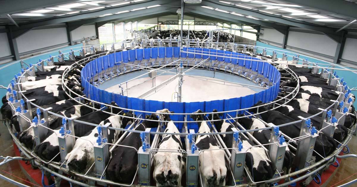 The Future of Dairy Farming: The Importance of Valves and Rotary Milk Parlors